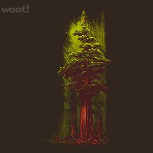 Graphic for Giant Sequoia