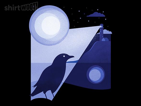 Woot!: Bird Illuminated By The Lighthouse