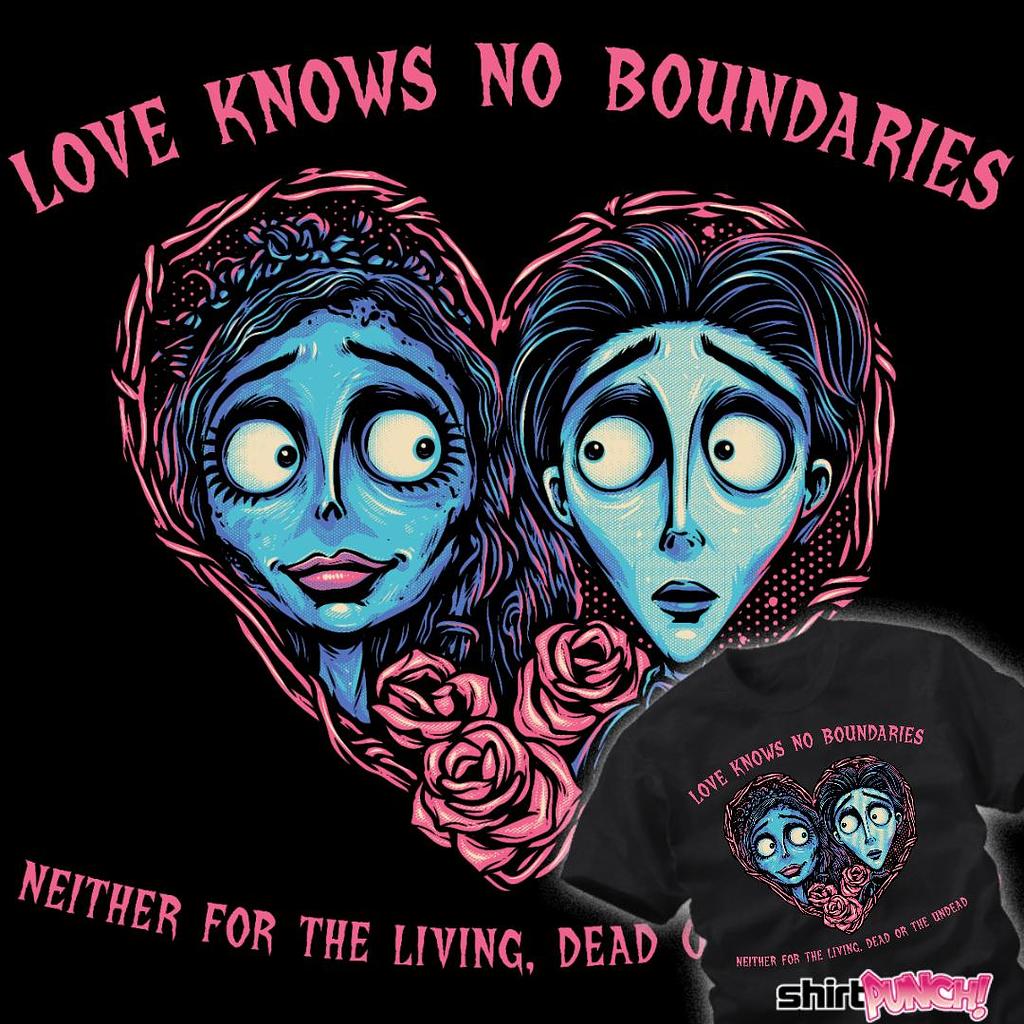 ShirtPunch: Love Knows No Boundaries