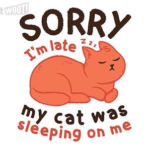 Graphic for My Cat Was Sleeping On Me