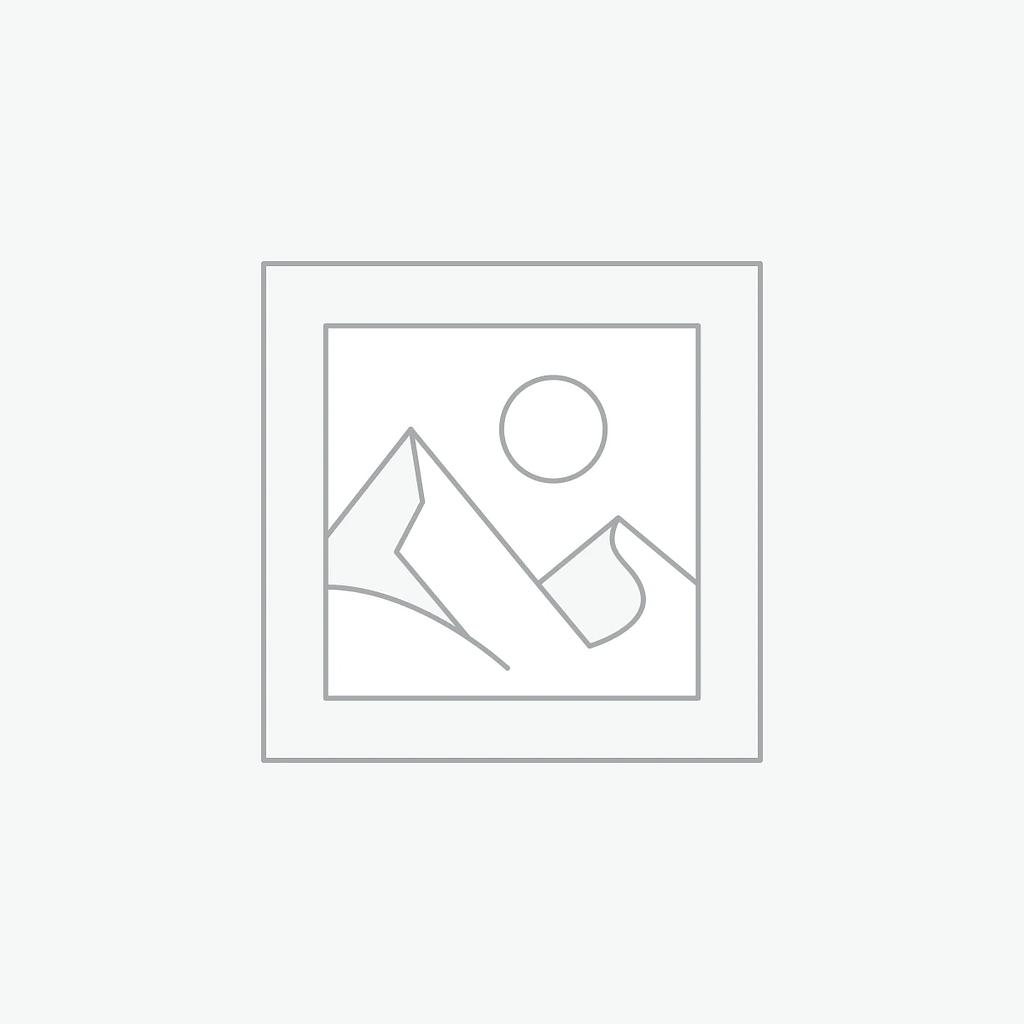 Ript: Spiderman X Punisher