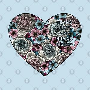 Graphic for Trans Rights are Human Rights