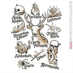 Graphic for Magic Spell notes