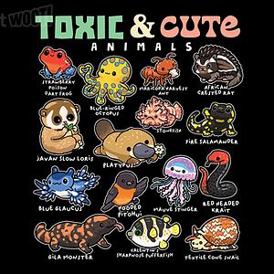 Graphic for Toxic & Cute Animals
