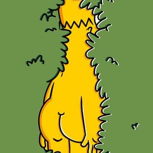Graphic for BEHIND THE BUSH