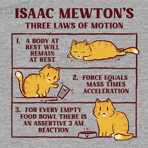 Graphic for Isaac Mewton's Laws