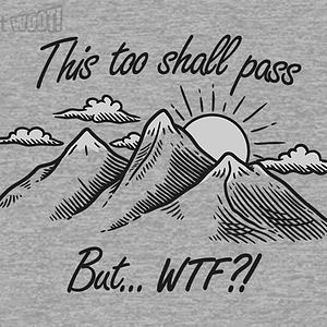 Graphic for This Too Shall Pass but WTF?!