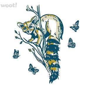 Graphic for Ringtail Cat