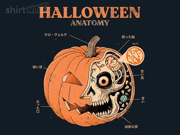 Woot!: Halloween Anatomy