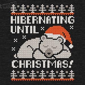 Graphic for Hibernating Until Christmas Sweater
