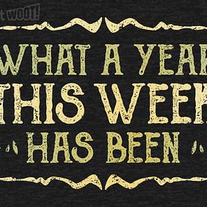 Graphic for What A Year