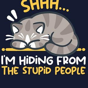 Graphic for Hiding from the stupid people