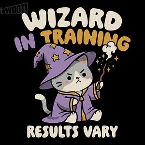 Graphic for Wizard in Training