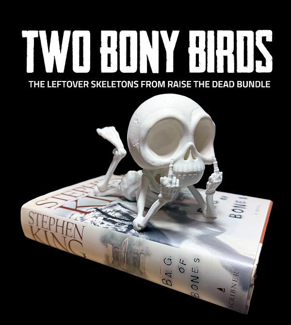 teeVillain: Two Bony Birds