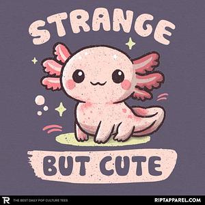 Graphic for Strange but Cute