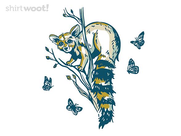 Woot!: Ringtail Cat