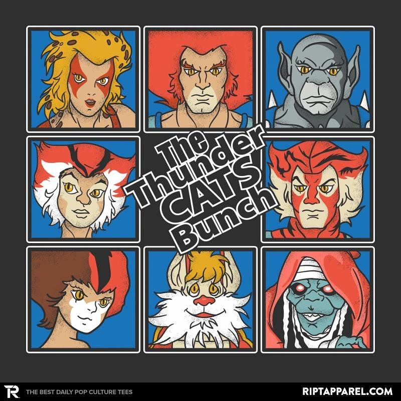 Ript: THUNDER CATS BUNCH