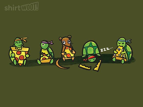 Woot!: Turtle Power Pizza Party