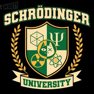 Graphic for Schrodinger University