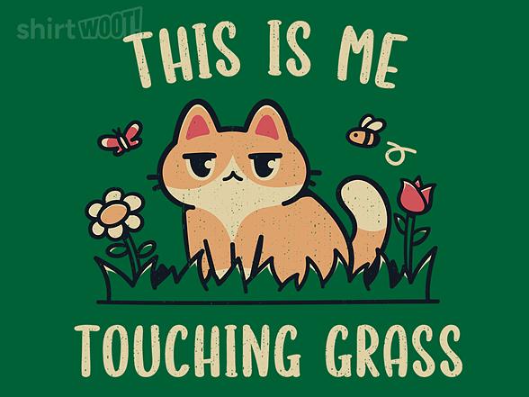 Woot!: Cat Touching Grass