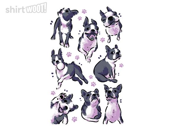 Woot!: Boston Terrier Love
