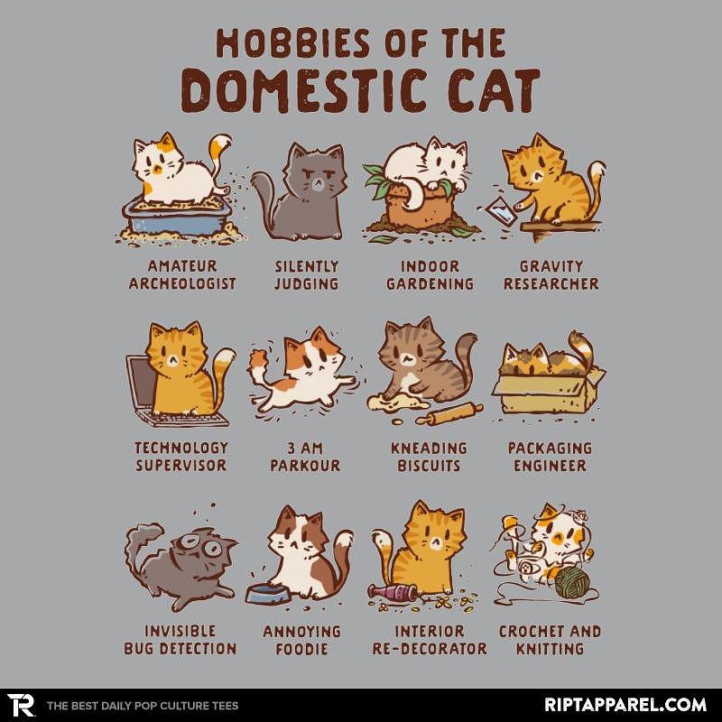 Ript: Cat Hobbies