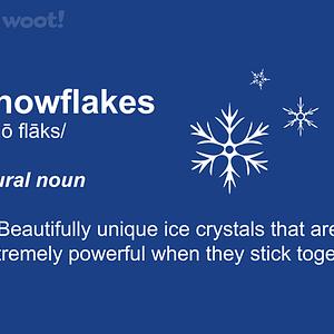 Graphic for Snowflakes Definition
