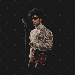 Graphic for Prince Singer