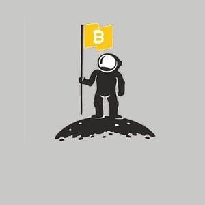 Graphic for Bitcoin To The Moon Hoodie