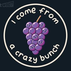 Graphic for Crazy Bunch